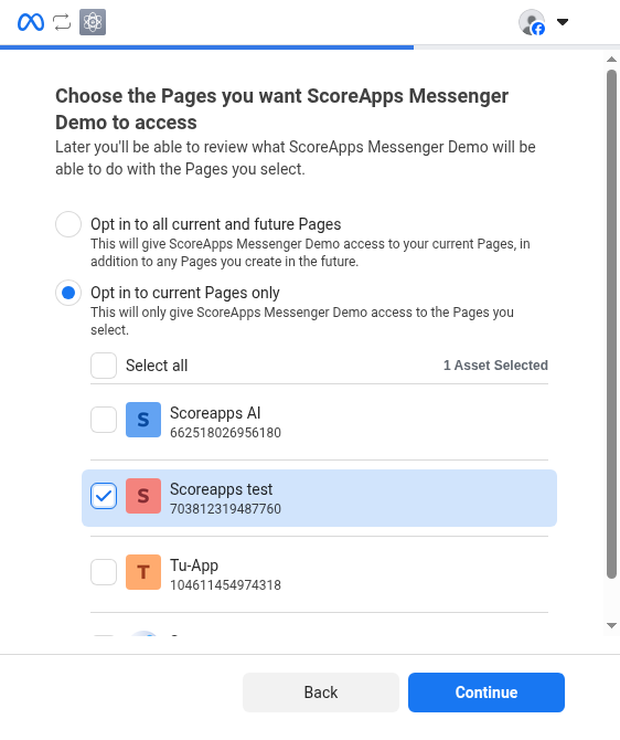 Selección de la página de Facebook que se conectará a la app